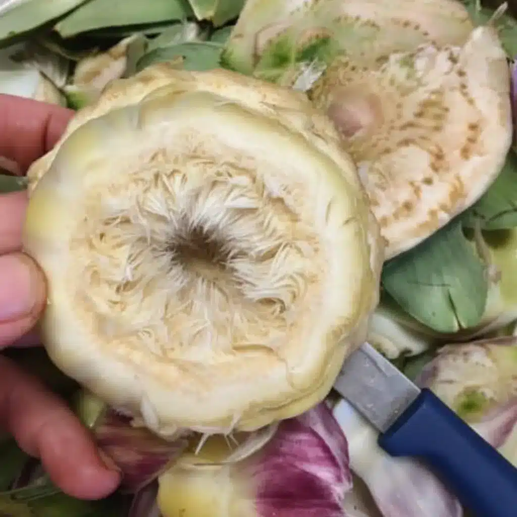 Stuffed Artichoke Bottoms Made Easy with One Great Recipe 9 Artichoke heart showing the choke before cleaning for stuffed artichoke bottoms.