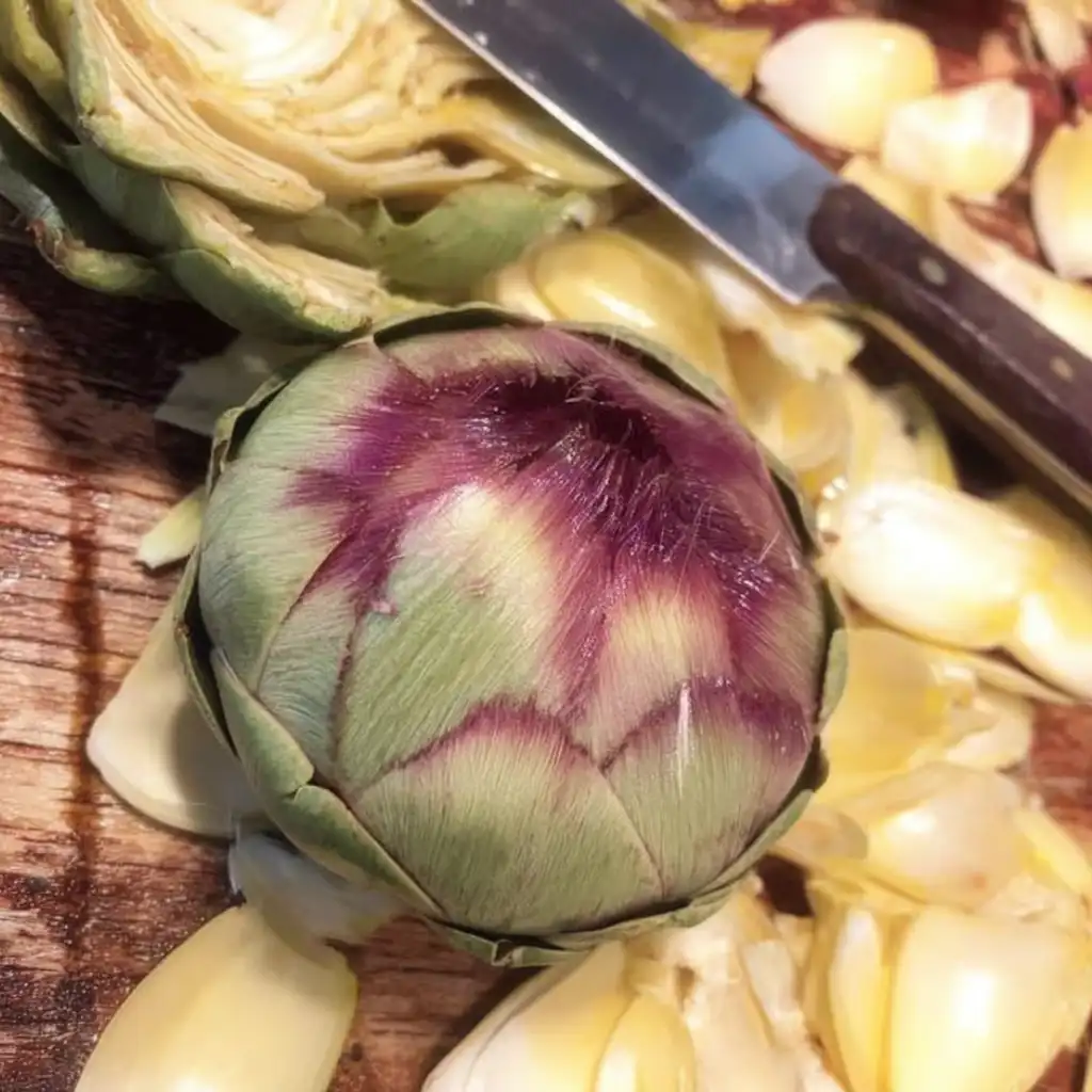 Stuffed Artichoke Bottoms Made Easy with One Great Recipe 8 Fresh artichoke being trimmed for stuffed artichoke bottoms.